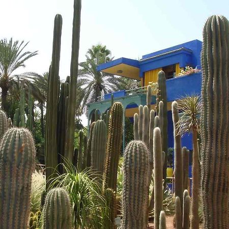 Appart Avec Vue Jardin/Majorelle Marrakesh Buitenkant foto