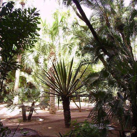 Appart Avec Vue Jardin/Majorelle Marrakesh Buitenkant foto